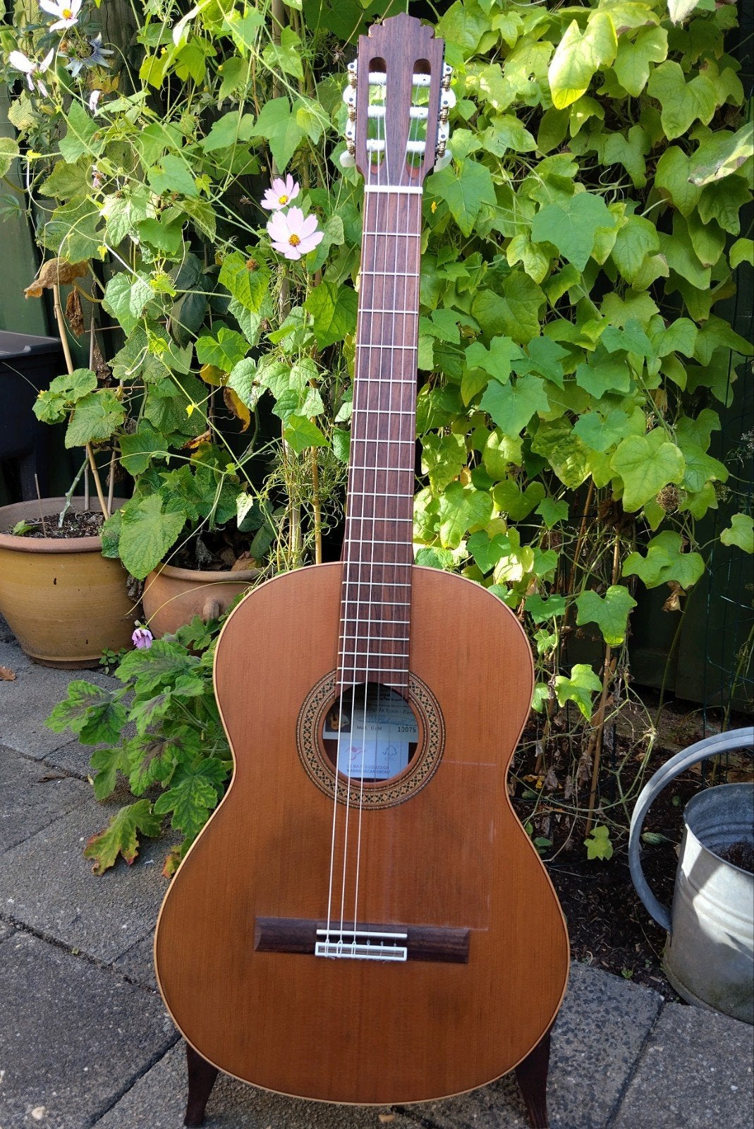 flamenco spaanse gitaar van ebony, Muziek en Instrumenten, Ophalen, Klassieke of Spaanse gitaar, Met koffer