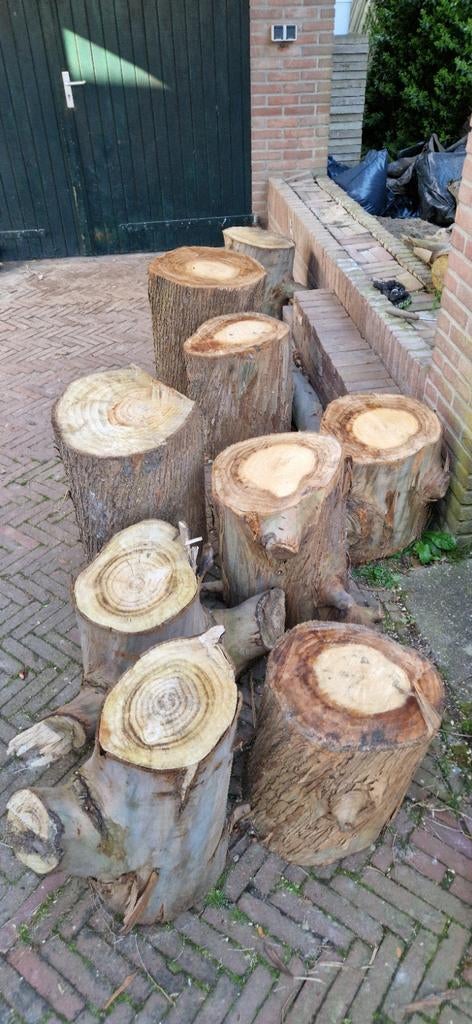 Eucalyptus haardhout, Minder dan 3 m³, Ophalen, Overige houtsoorten