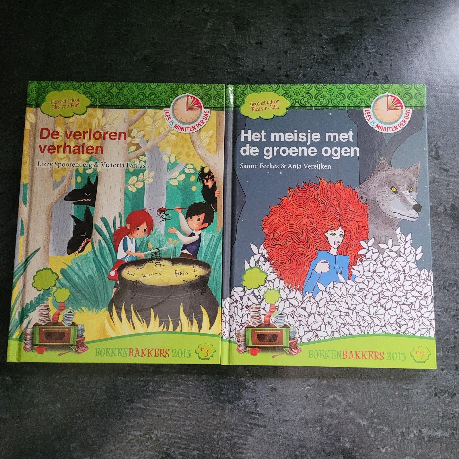 Lizzy Spoorenberg  leesboeken, Fictie algemeen, Ophalen of Verzenden, Zo goed als nieuw, Lizzy Spoorenberg; Victoria Farkas