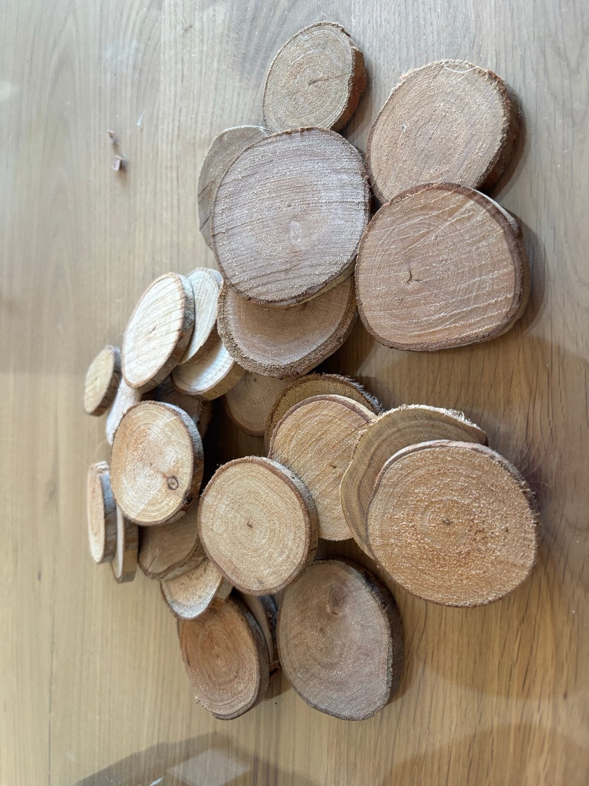 17 Houten schijven voor knutselen en decoratie, Hobby en Vrije tijd, Gebruikt, Bruin, Hout, Ophalen of Verzenden