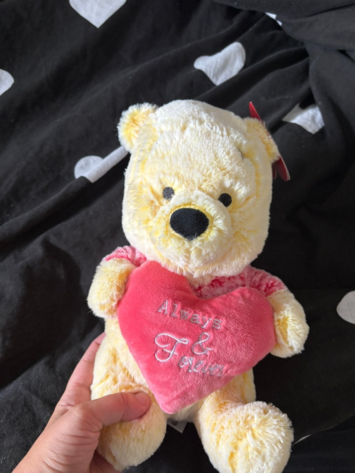 Pooh knuffel, Ophalen, Zo goed als nieuw, Overige typen
