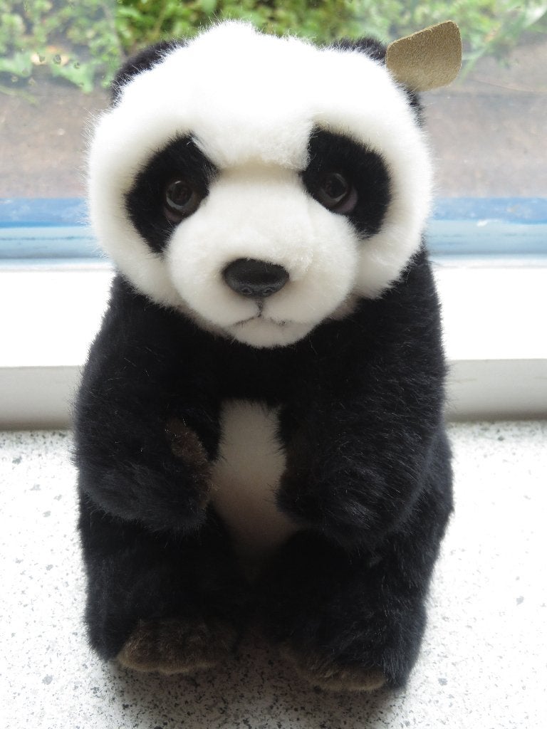 Pandabeer pandabeertje van Albert Heijn AH WWF, Albert Heijn, Beer, Ophalen of Verzenden, Zo goed als nieuw