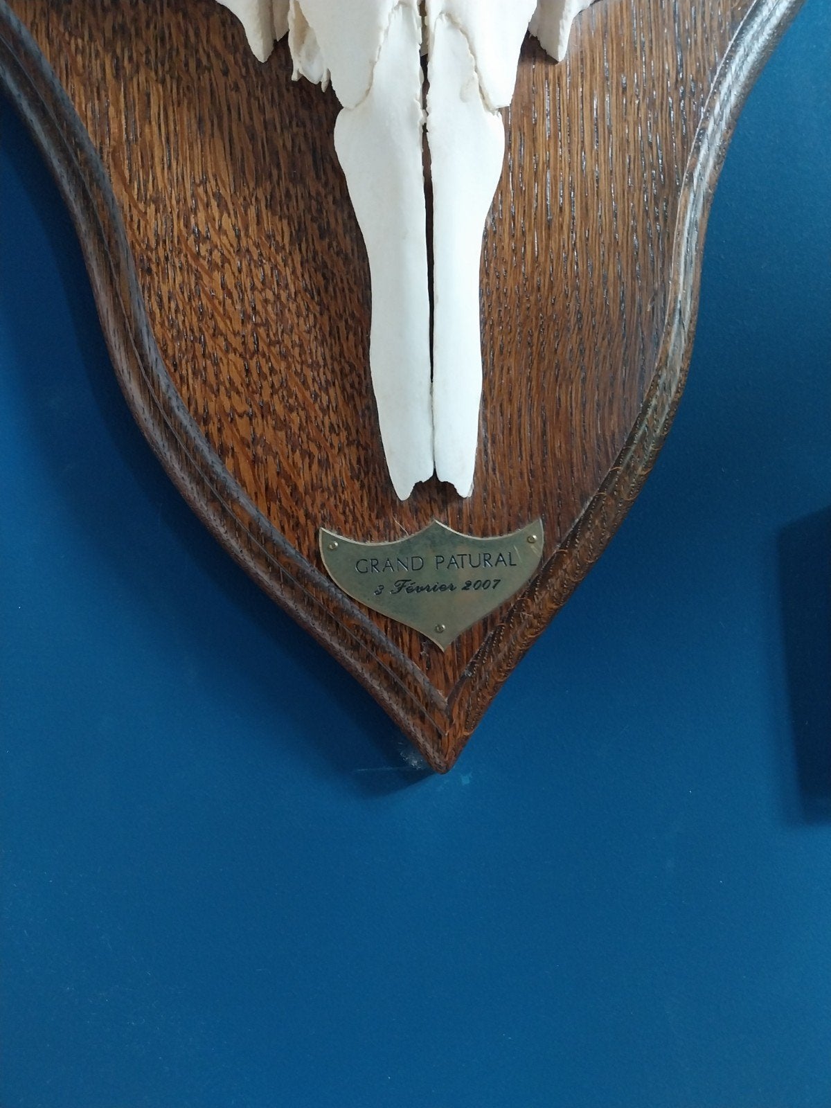 Gewei, Ophalen