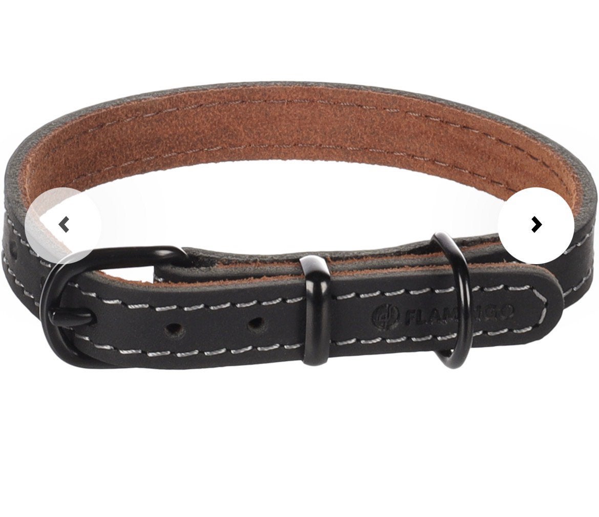 Nieuwe zwart leren halsband merk flamingo voor kleine hond, Ophalen of Verzenden, Nieuw