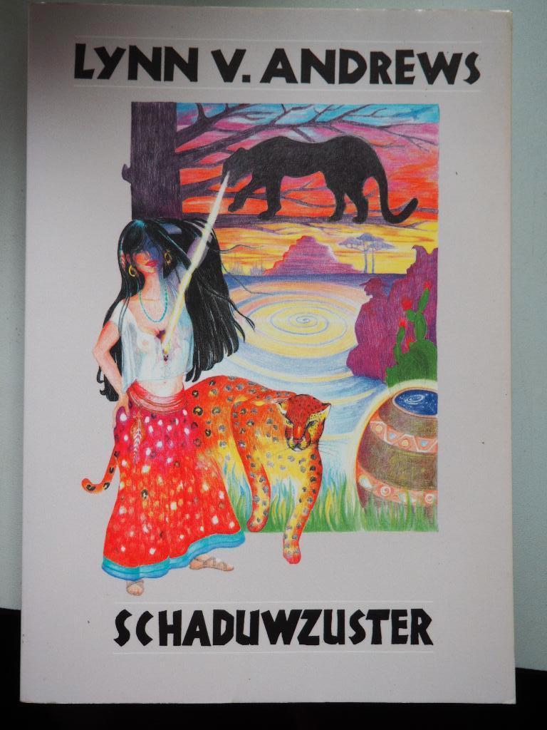 Lynn v. Andrews Schaduwzuster 1e druk 1995, Boeken, Gelezen, Lynn v. Andrews, Ophalen of Verzenden, Spiritualiteit algemeen