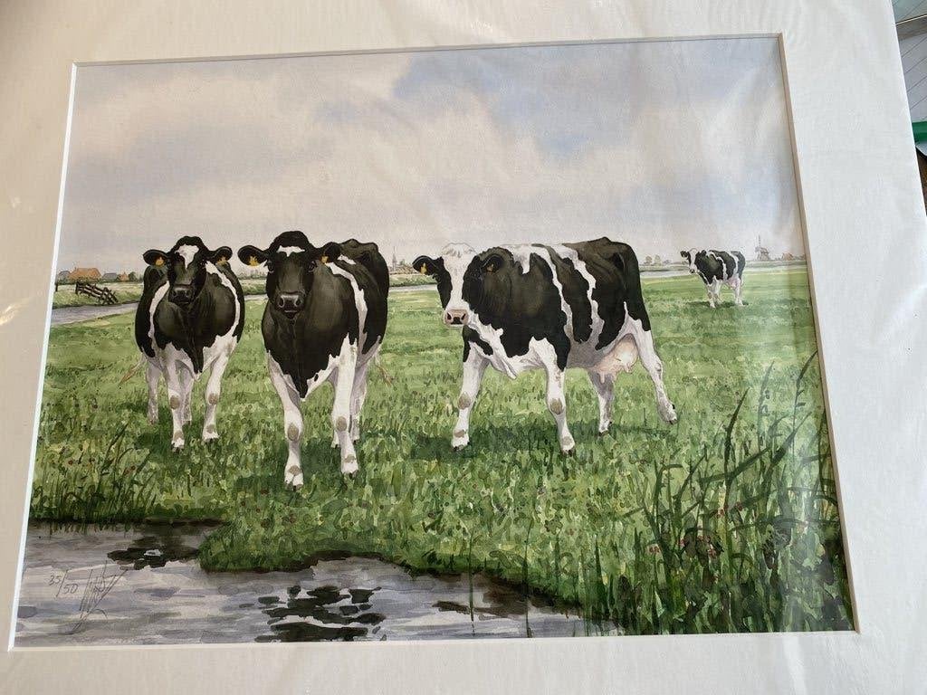 Aquarelle Koeien, Ophalen