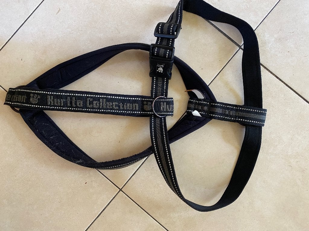Hondentuig Hurrta grote hond, Dieren en Toebehoren, Hondenriemen, Gebruikt, Hondenriem-accessoire, Ophalen