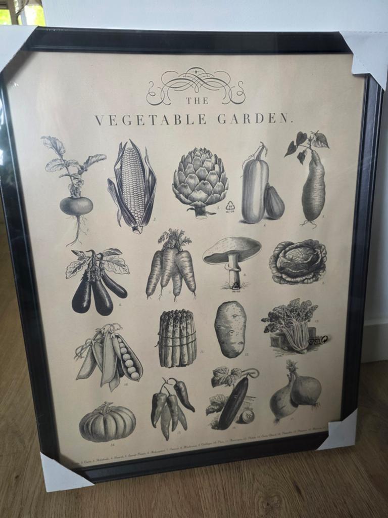 IKEA Knoppäng Lijst met Kruiden- en Groenteafbeeldingen, Ophalen, Minder dan 50 cm, 50 tot 75 cm, Nieuw