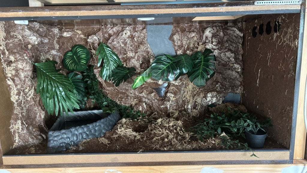 5x Terraria (zelfbouw) 120x60x60, Dieren en Toebehoren, Ophalen, Gebruikt, Terrarium of Paludarium