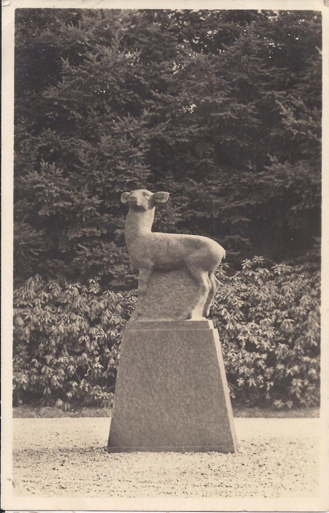 Hoenderloo de hoge veluwe hert oude ansichtkaart ( 8137 ), Ophalen of Verzenden, 1960 tot 1980, Gelopen, Gelderland