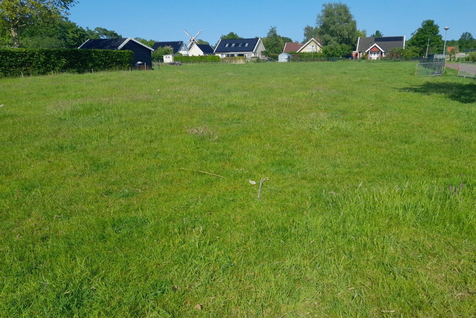 Te huur: paardenweide, Ophalen