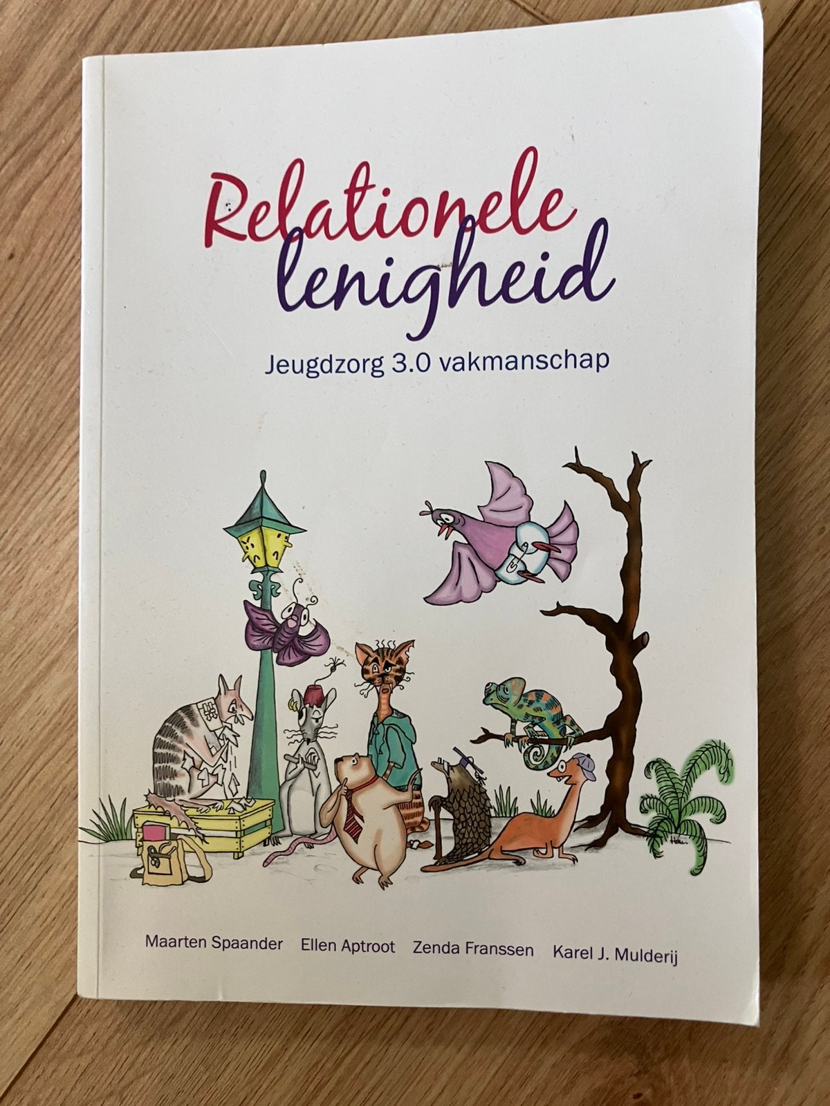 Relationele lenigheid - Maarten Spaander et al, 2016, Ophalen of Verzenden, Zo goed als nieuw