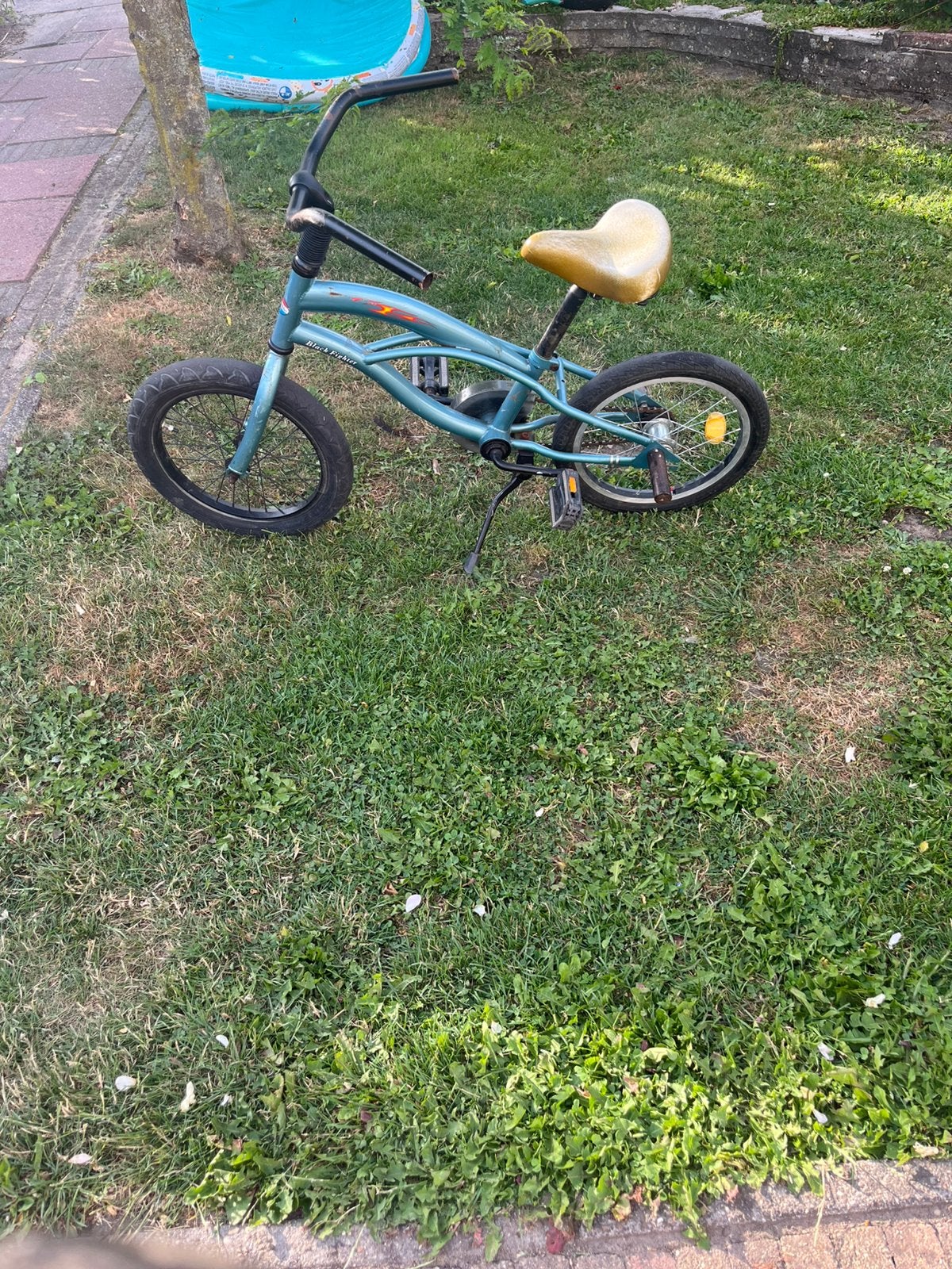 Fiets, Ophalen, Terugtraprem, Staal, Voetsteunen