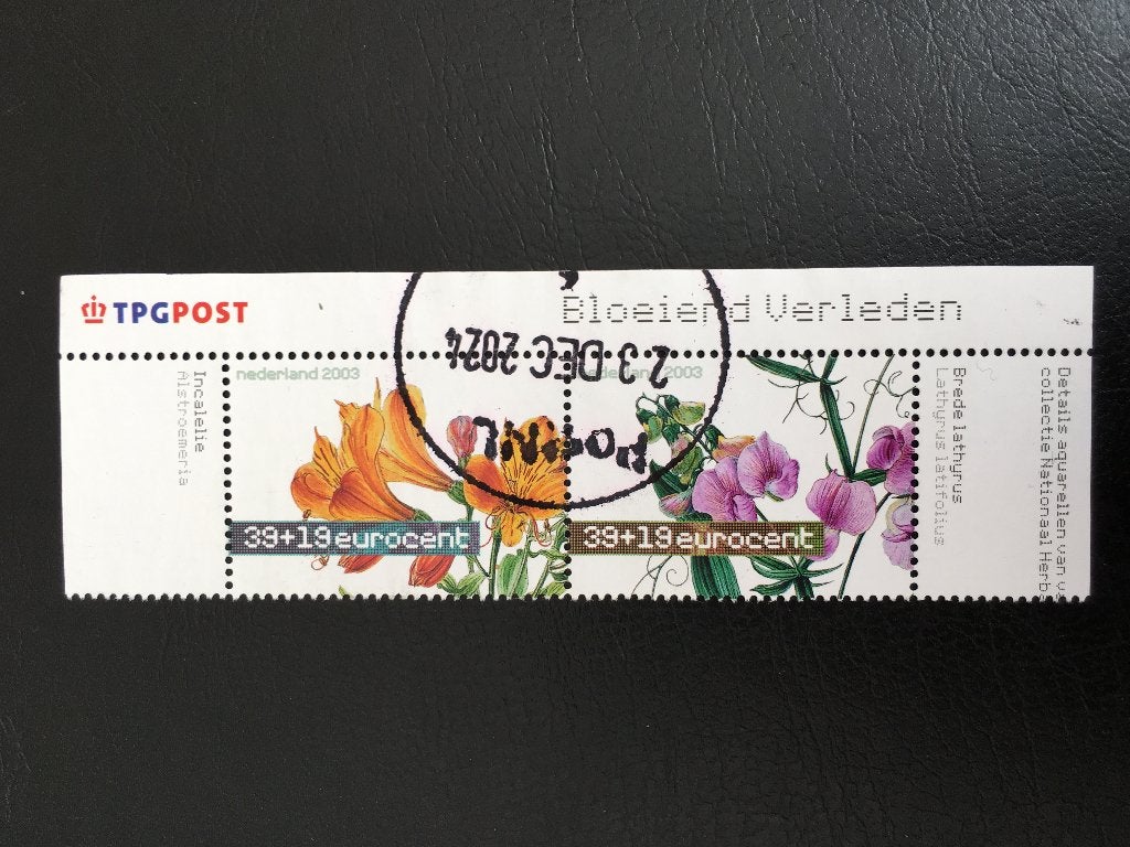 976E Nederland 2003 Bloeiend verleden, bovenrand gestempeld, Ophalen of Verzenden, Na 1940, Gestempeld