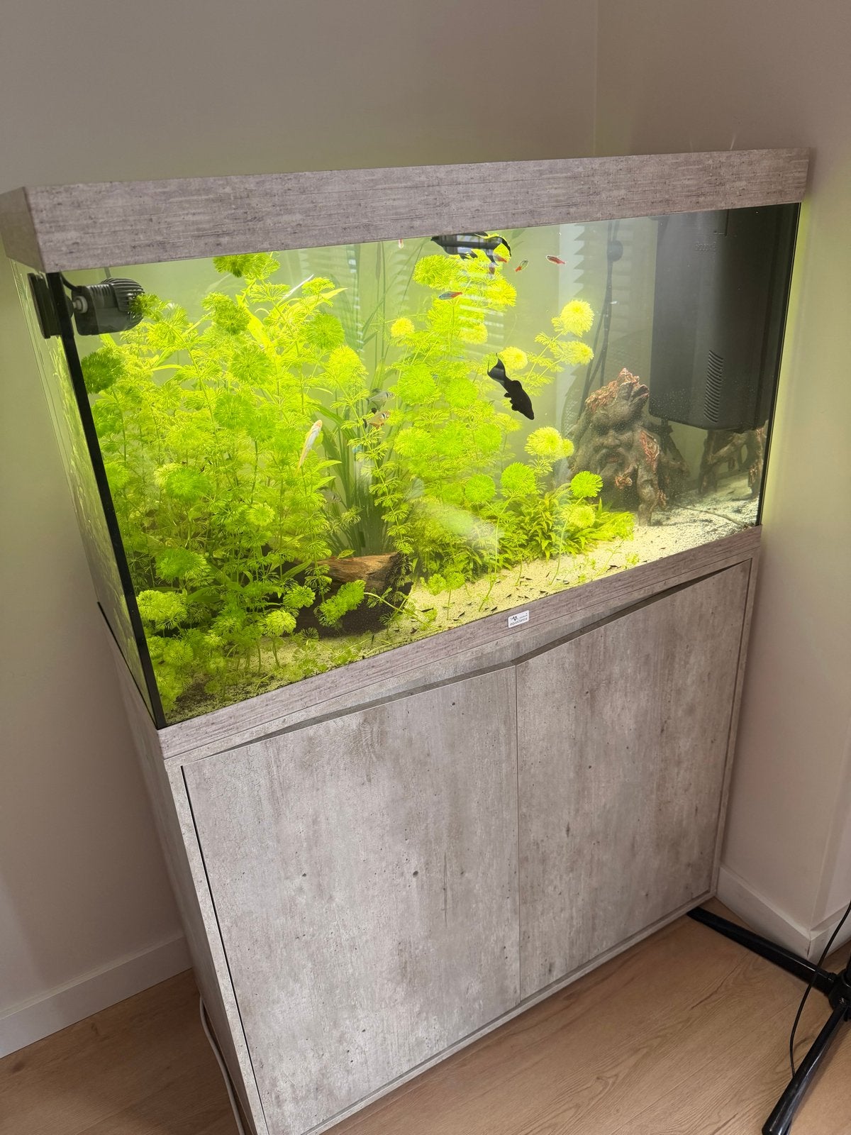 Aquarium inclusief bijbehoren (behalve de vissen), Dieren en Toebehoren, Vissen | Aquaria en Toebehoren, Ophalen, Gevuld zoetwateraquarium