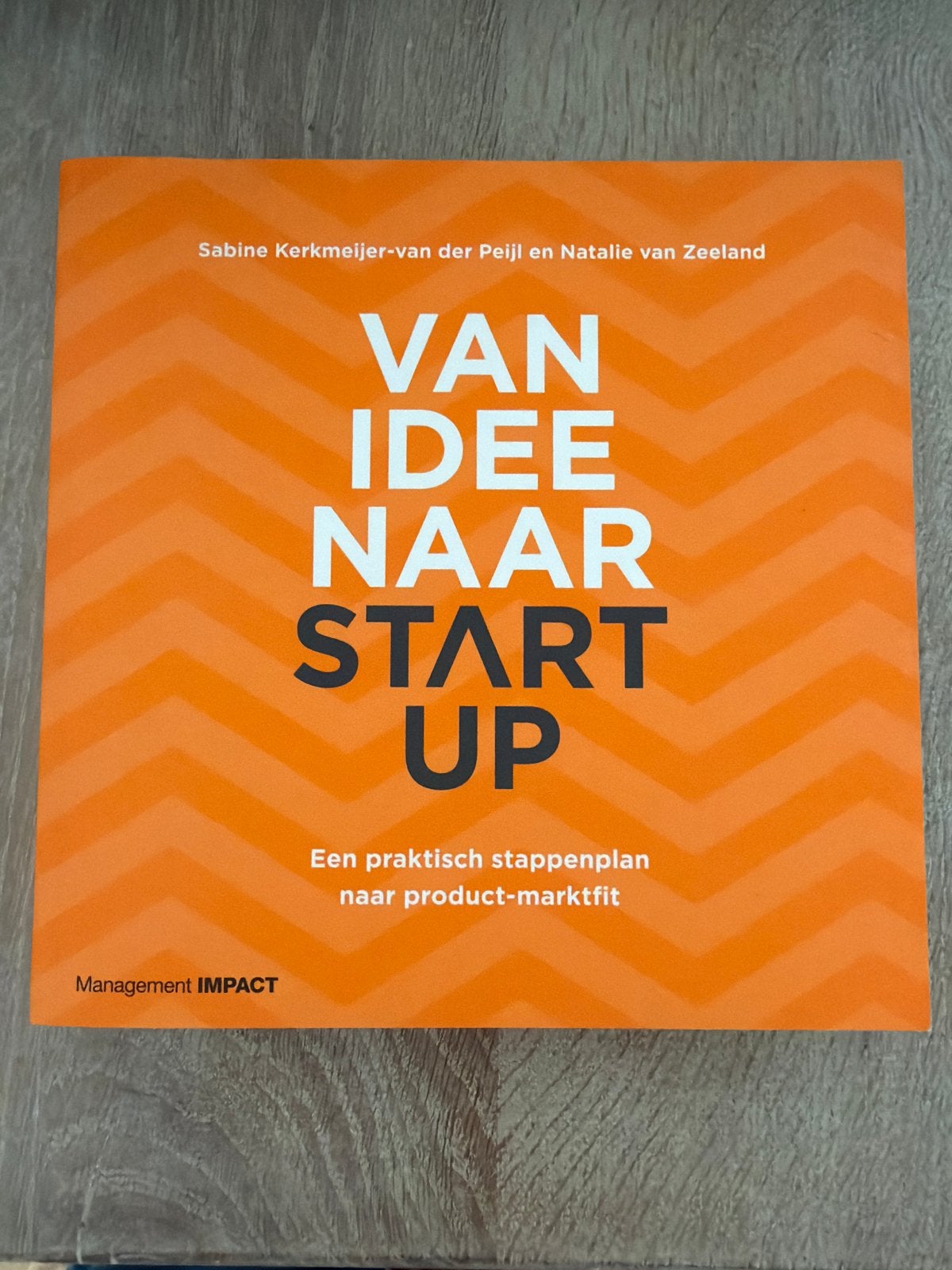 Van Idee Naar Start-Up: Praktisch Stappenplan, Ophalen of Verzenden, Zo goed als nieuw, Management