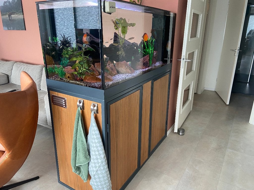 aquarium set, geheel compleet met discusvissen, Dieren en Toebehoren, Ophalen, Overige merken, Inclusief vissen, Gevuld zoetwateraquarium