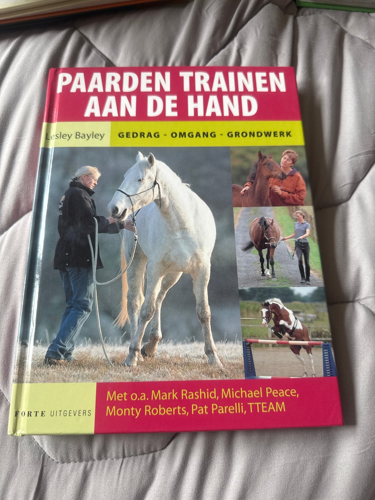 Paarden Trainen aan de Hand - Lesley Bayley, Ophalen, Zo goed als nieuw