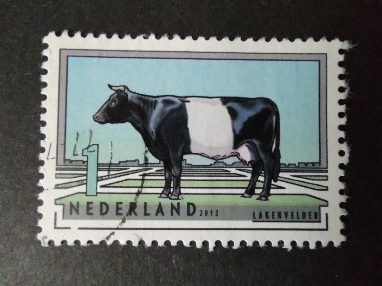 2976 lakenvelder 2012 nl runderrassen, Verzenden