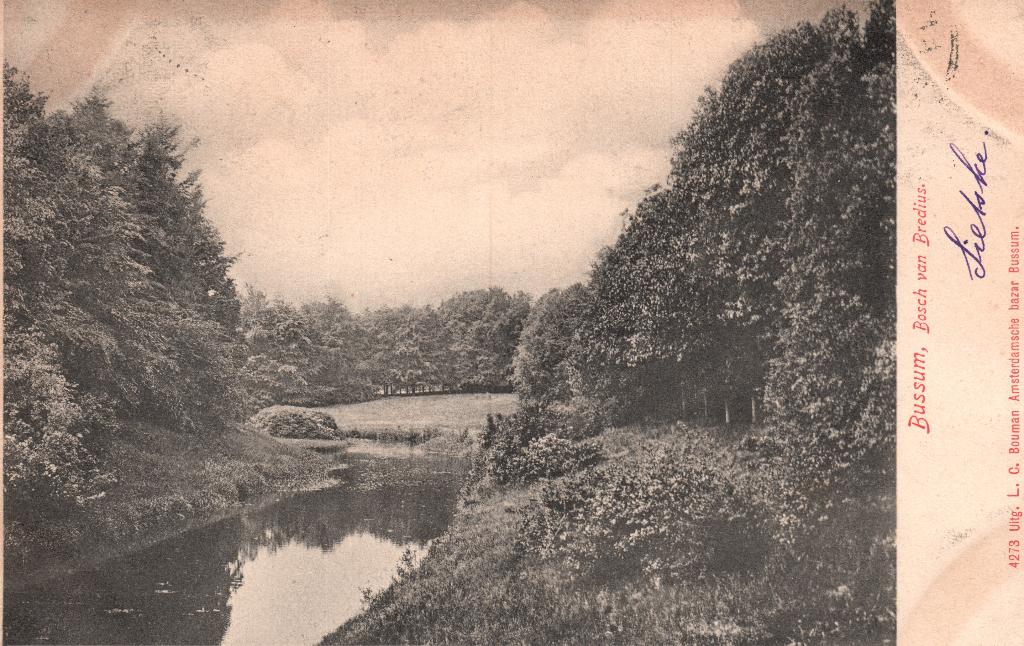 Bussum, Bosch van Bredius (1904) 127908, Verzamelen, Ansichtkaarten | Nederland, Ophalen of Verzenden, Voor 1920, Gelopen, Noord-Holland