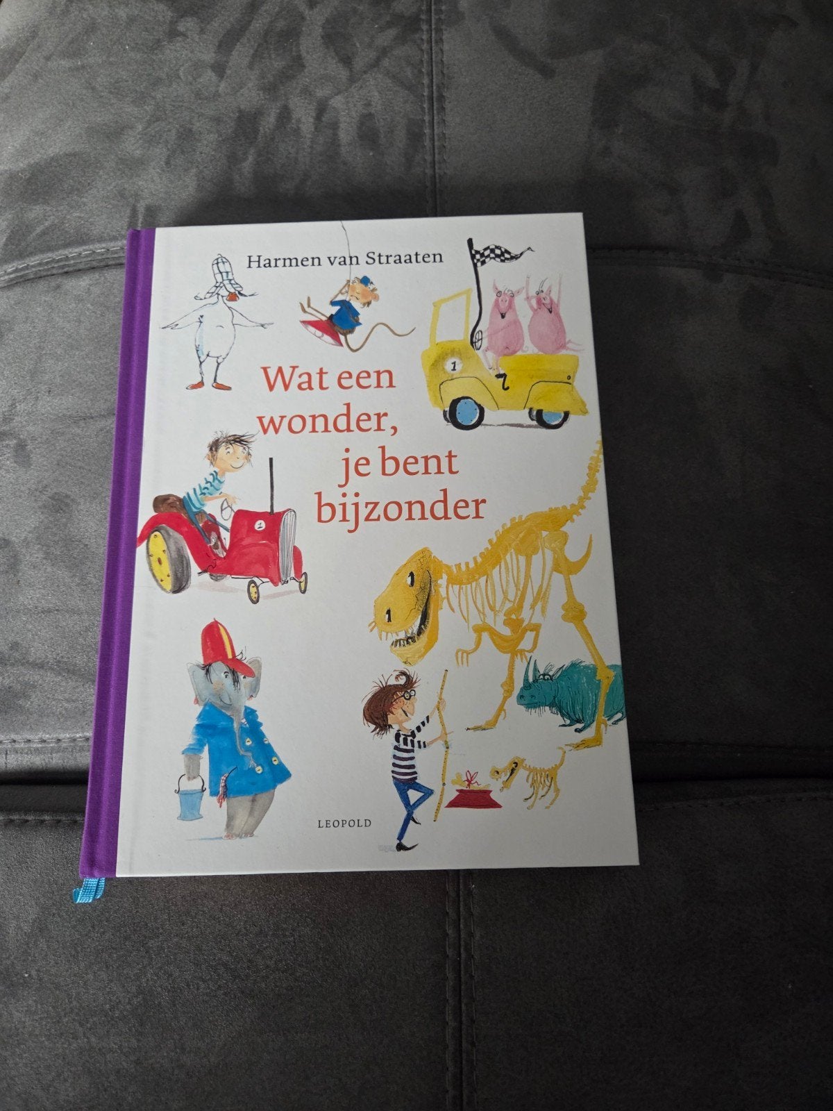 6 Prentenboeken in 2: Wat een wonder, je bent bijzonder, Ophalen of Verzenden, Zo goed als nieuw, Harmen van Straaten, Prentenboek