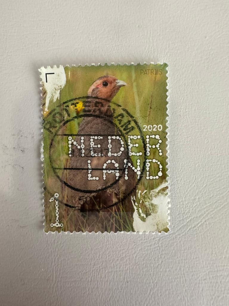 Beleef de natuur 2020, Ophalen of Verzenden
