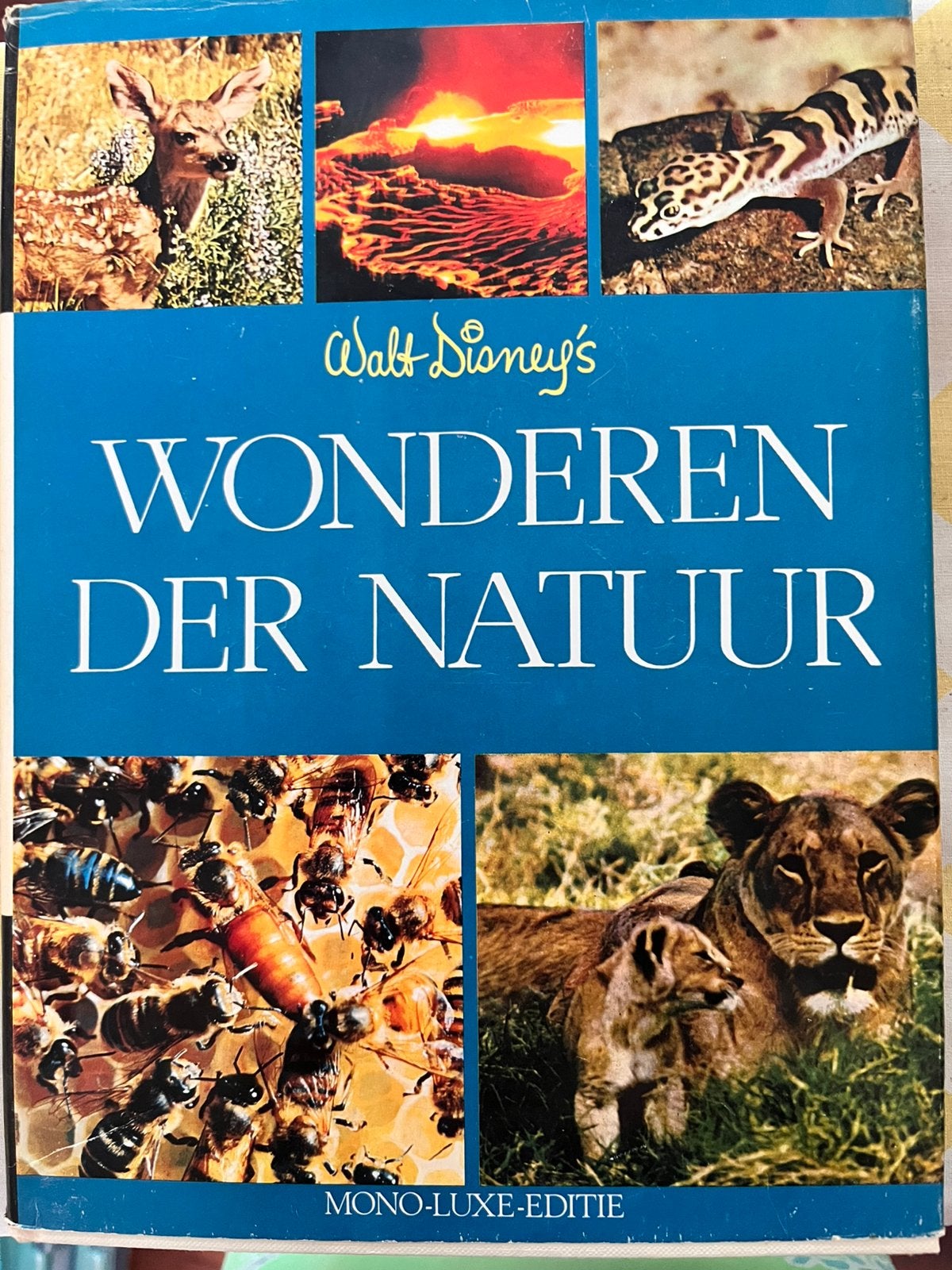 Walt Disney’s Wonderen der Natuur 17de druk, Boeken, Natuur, Ophalen of Verzenden, Zo goed als nieuw, Natuur algemeen