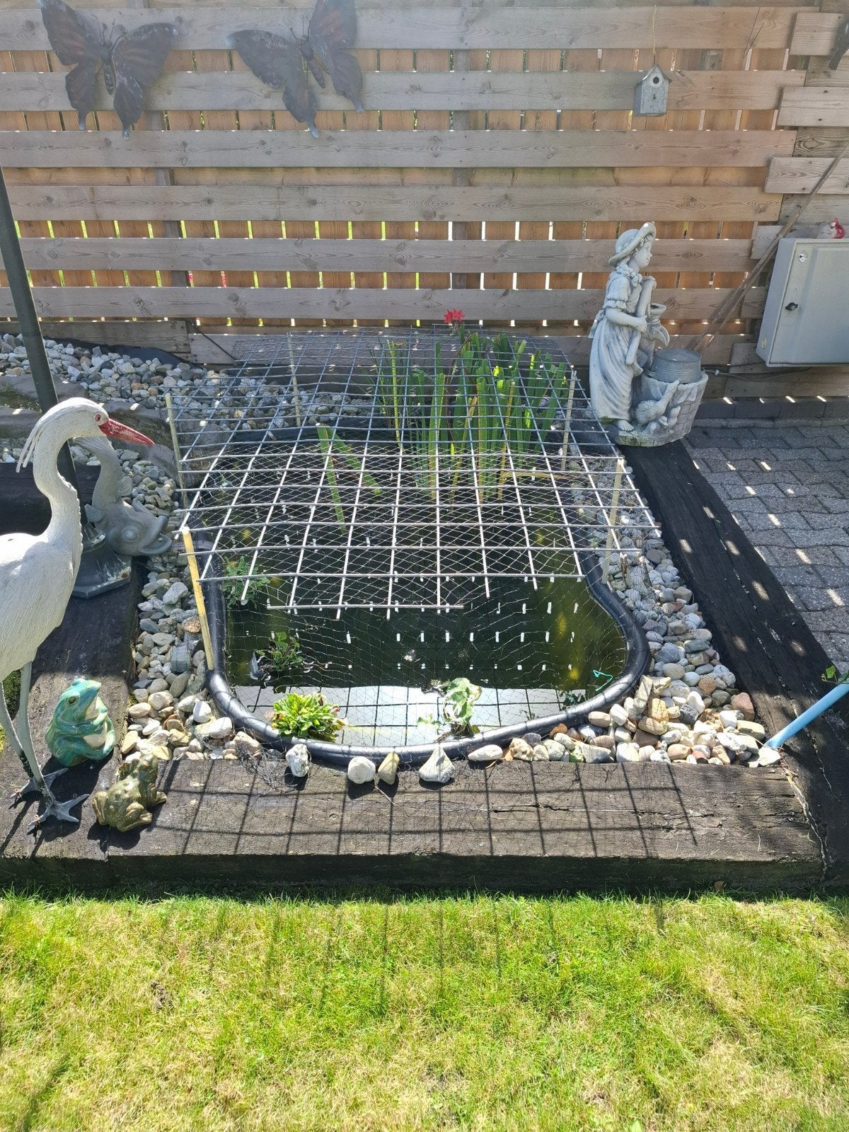 Vijver met  Vissen en pomp, Mannelijk, Gans of Zwaan