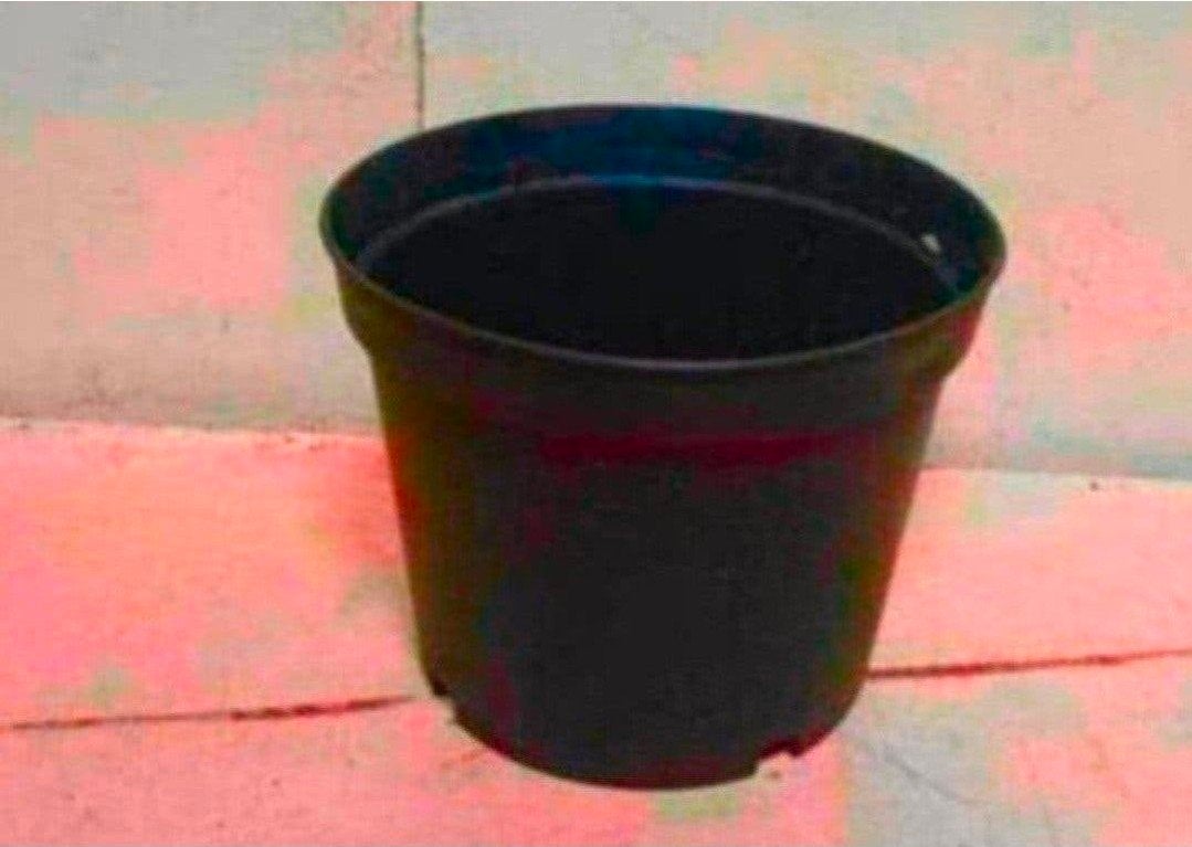 kweekpotten plantenpotten bloempotten 2 liter, Kunststof, Gebruikt, Rond, Ophalen of Verzenden