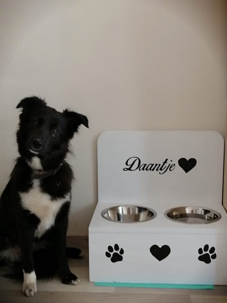 Houten voerbakstandaard met achterwand voor hond & kat!, Dieren en Toebehoren, Info@rwhoutidee.nl, Ophalen of Verzenden, Wervershoof, Noord-Holland