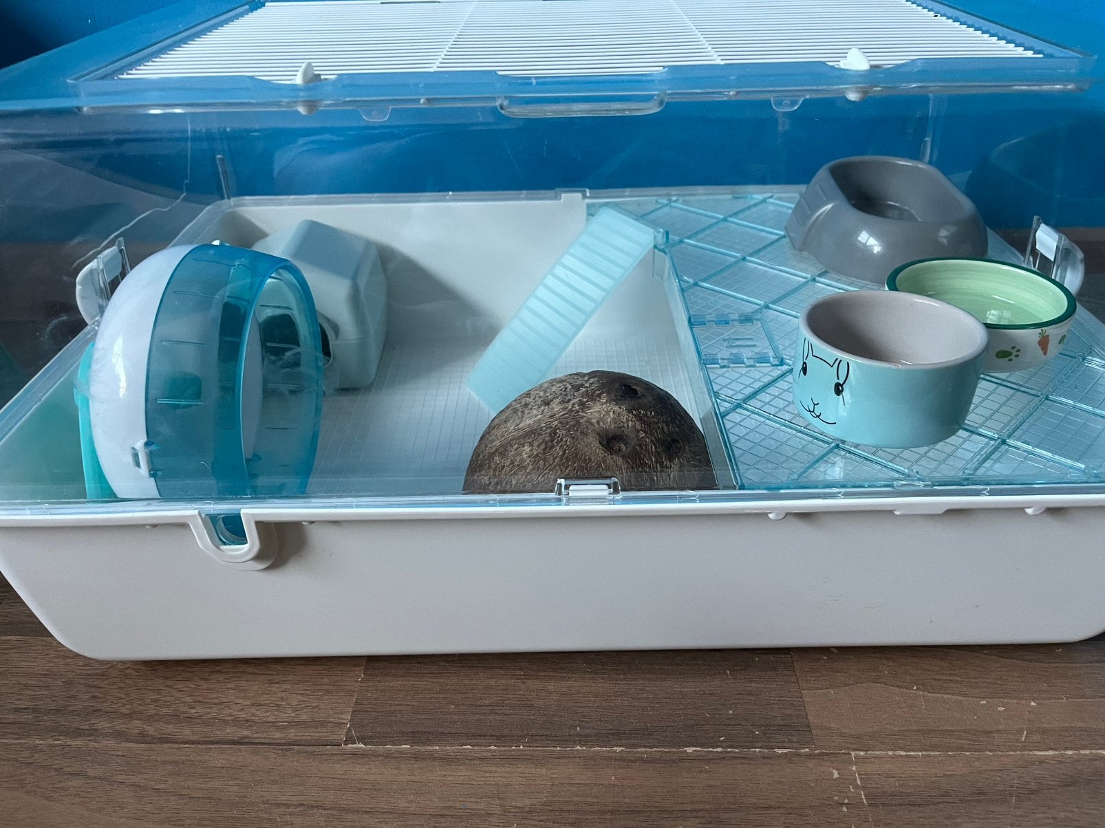 Hamsterkooi & spulletjes + rijsmandje, Kooi, Gebruikt, Minder dan 75 cm, Muis
