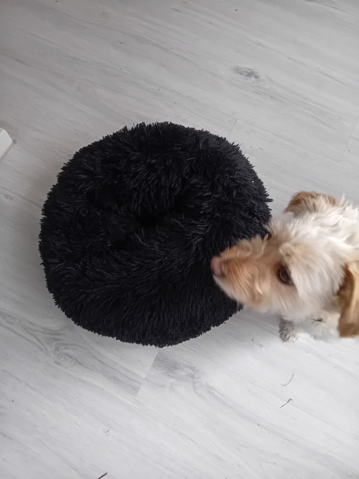 Honden of kattenmand, Ophalen, Pluche
