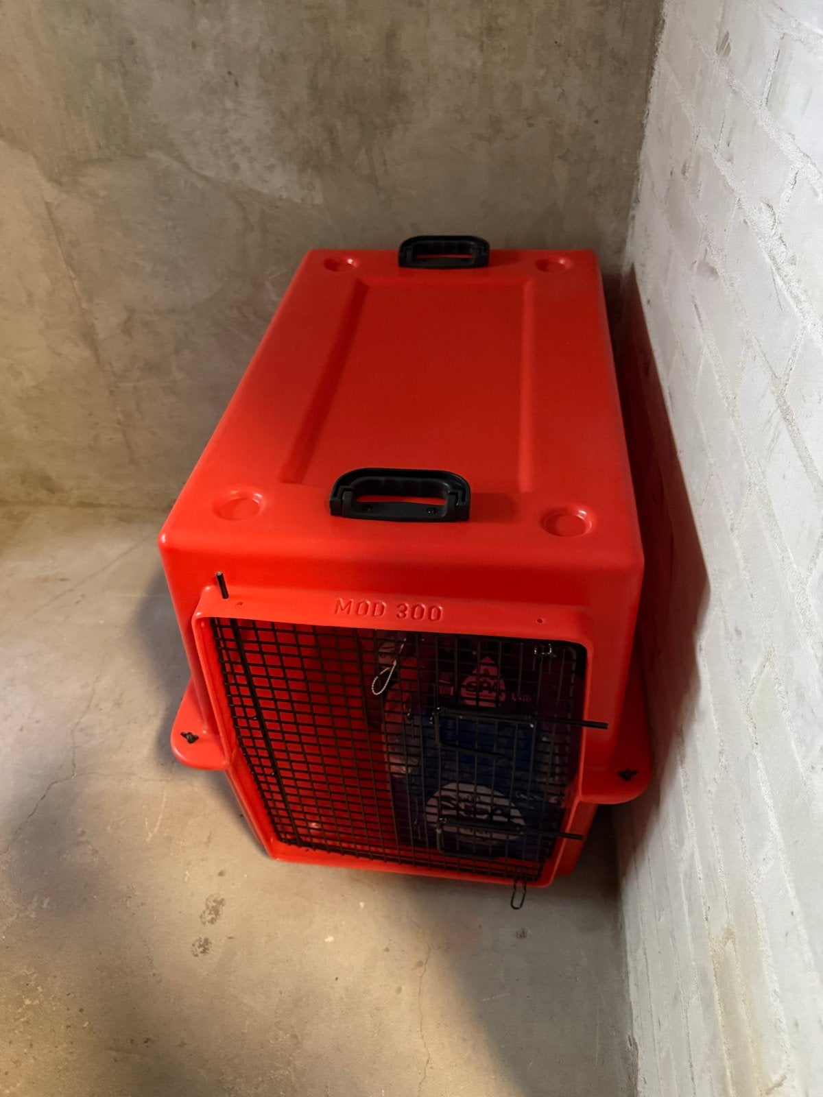 Box for dog transportation XL, Ophalen, Zo goed als nieuw