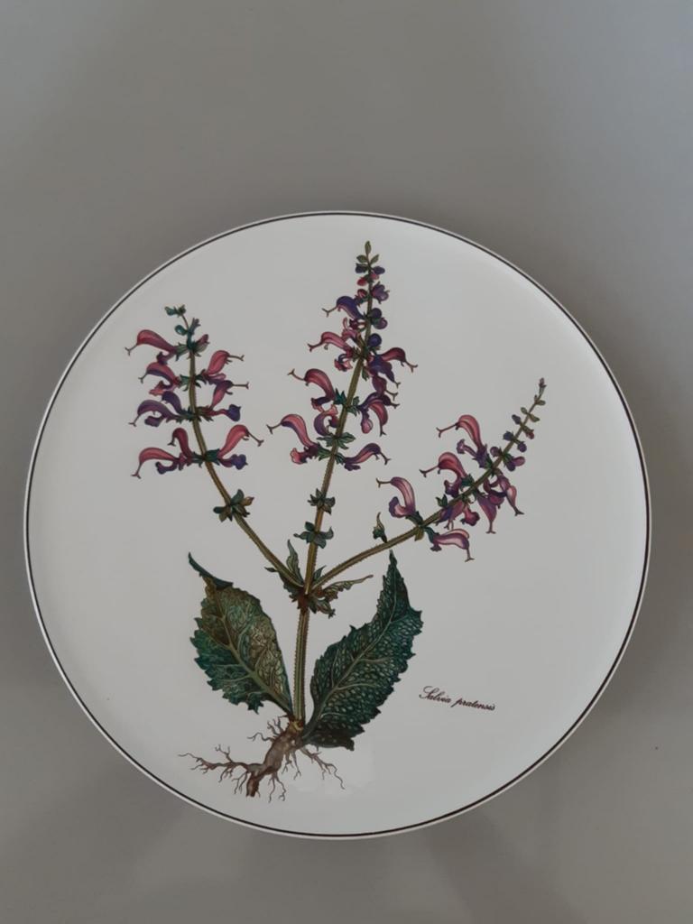 Taartplateau taartbord Villeroy en Boch Botanica, Ophalen of Verzenden, Zo goed als nieuw, Bord(en), Overige stijlen