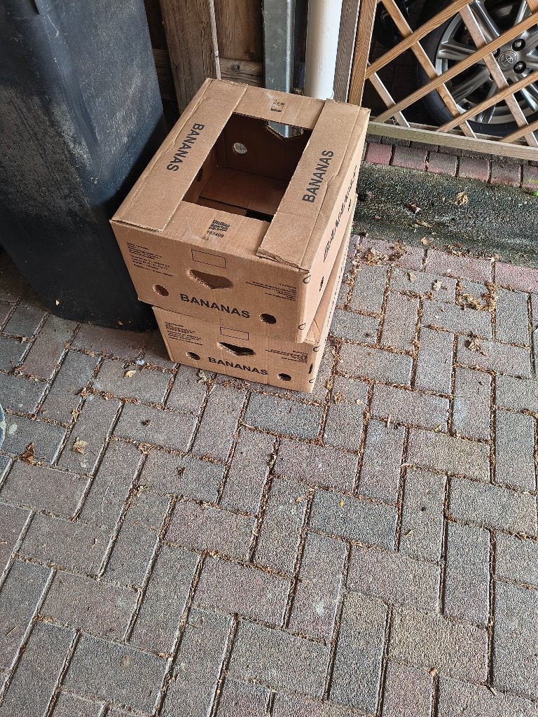 Gratis bananendozen, Ophalen, 40 tot 60 cm, 50 tot 75 cm, 35 tot 50 cm