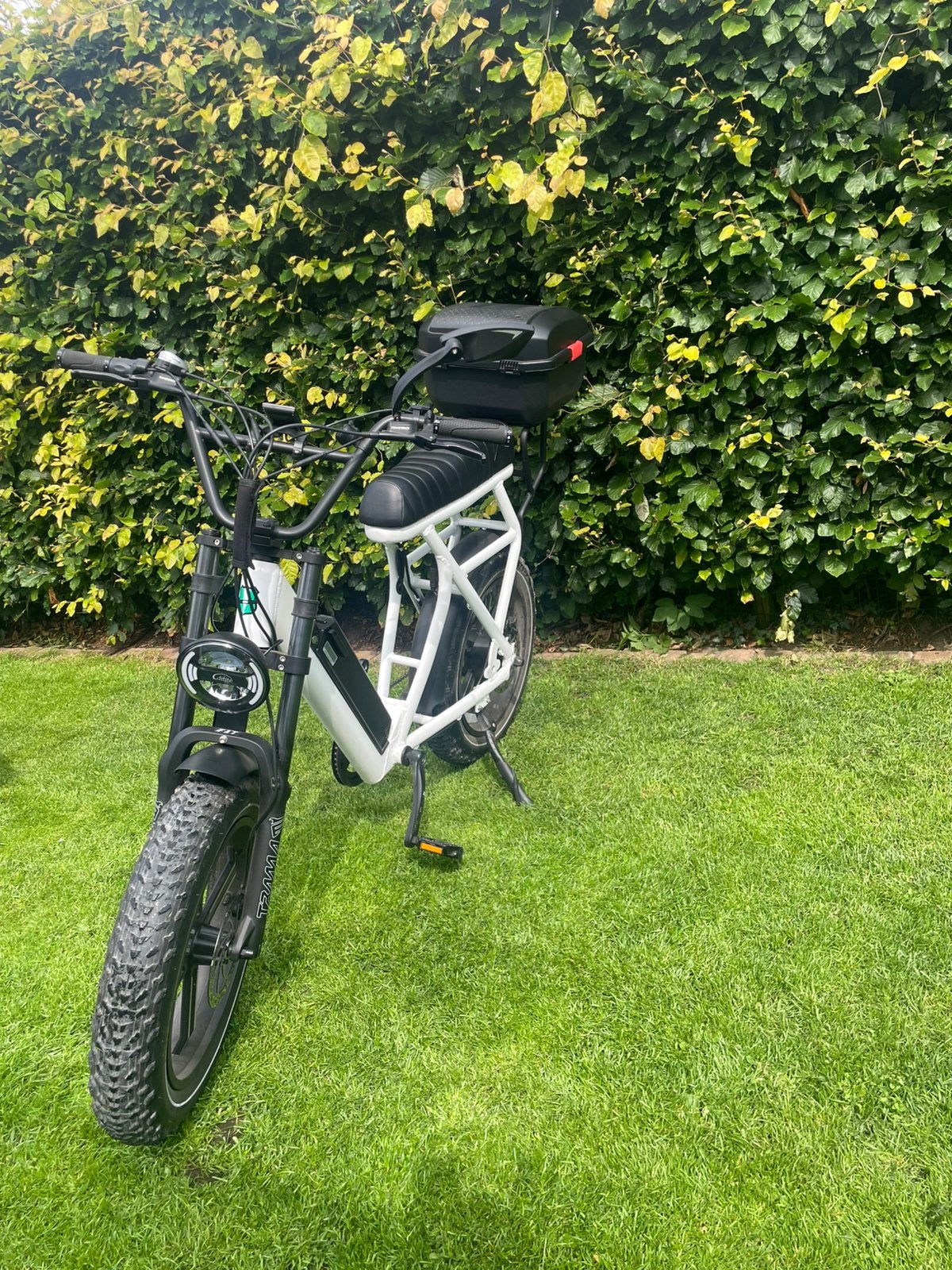 Elektronische fiets, Fietsen en Brommers, Elektrische fietsen, Ophalen, Zo goed als nieuw, Overige merken