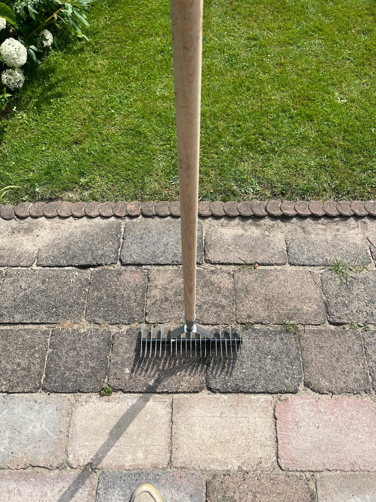 Verticuteerhark met houten steel, Ophalen, Gebruikt, Hark