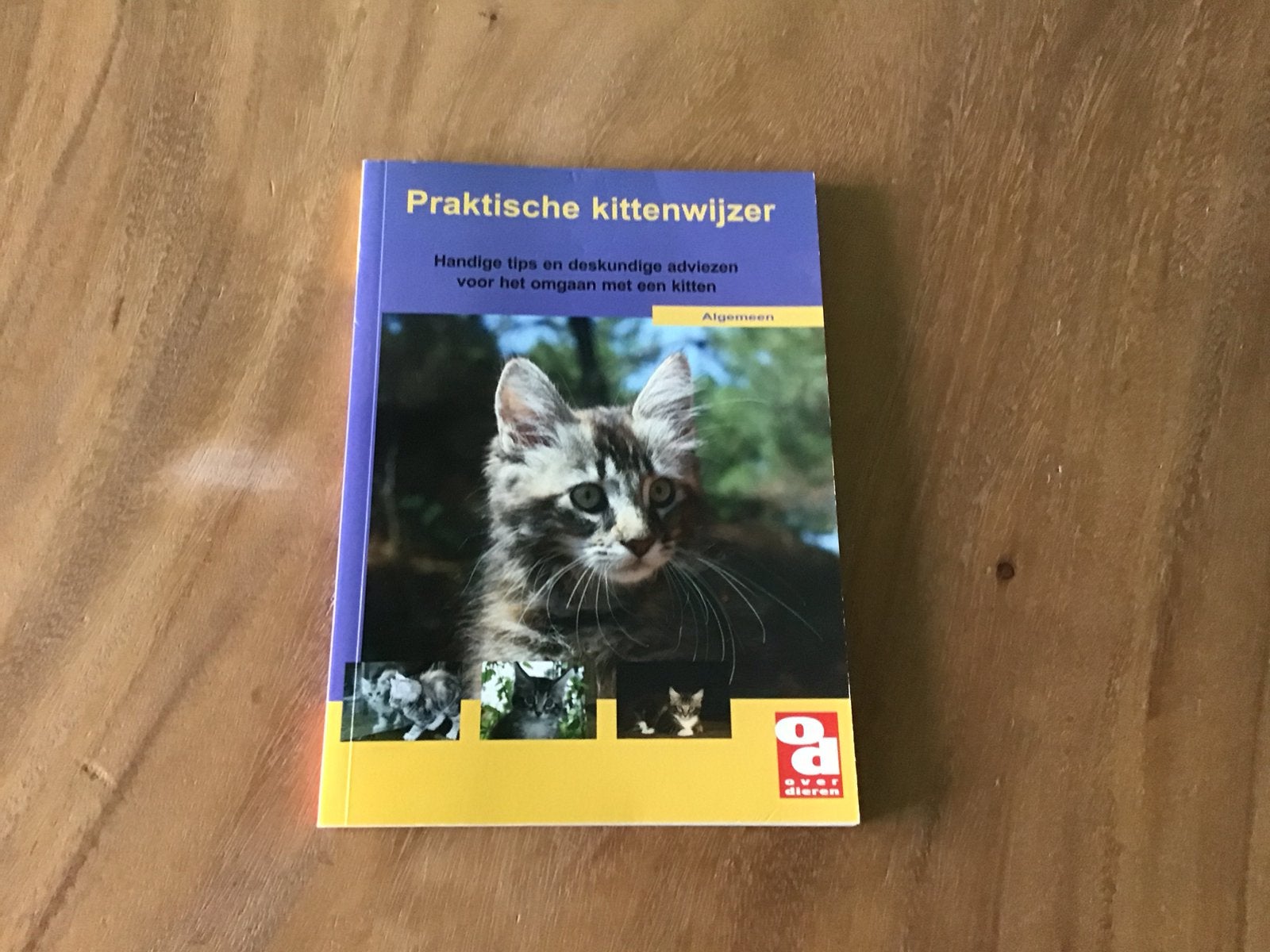 Praktische kitten wijzer, Ophalen of Verzenden, Zo goed als nieuw, Katten