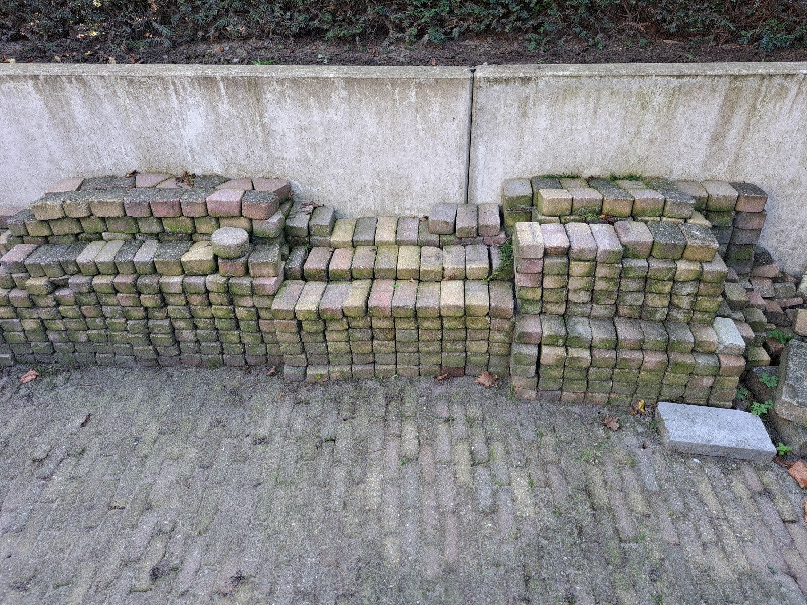 Gratis - 6 m2 gebruikte tuinklinkers, deels voor cirkelpatro, Ophalen, Gebruikt, Klinkers, 5 tot 10 m²