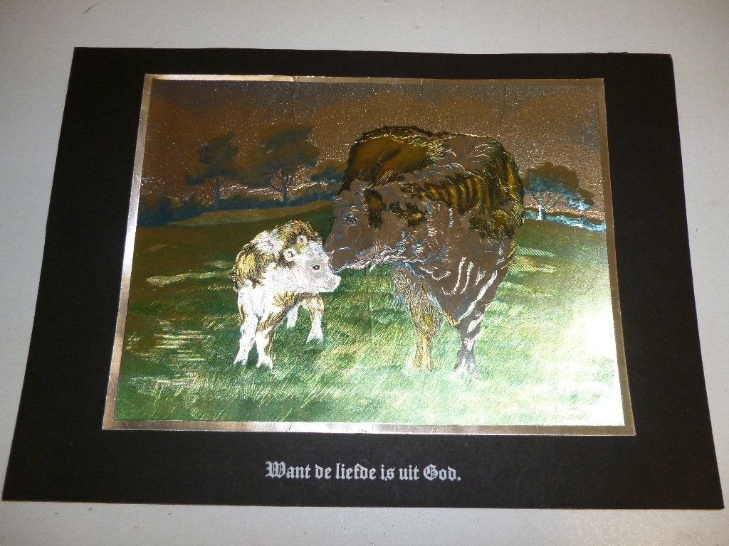 mooie plaat met koe en kalfje, Huis en Inrichting, Ophalen of Verzenden, Zo goed als nieuw, Schilderij, Minder dan 50 cm
