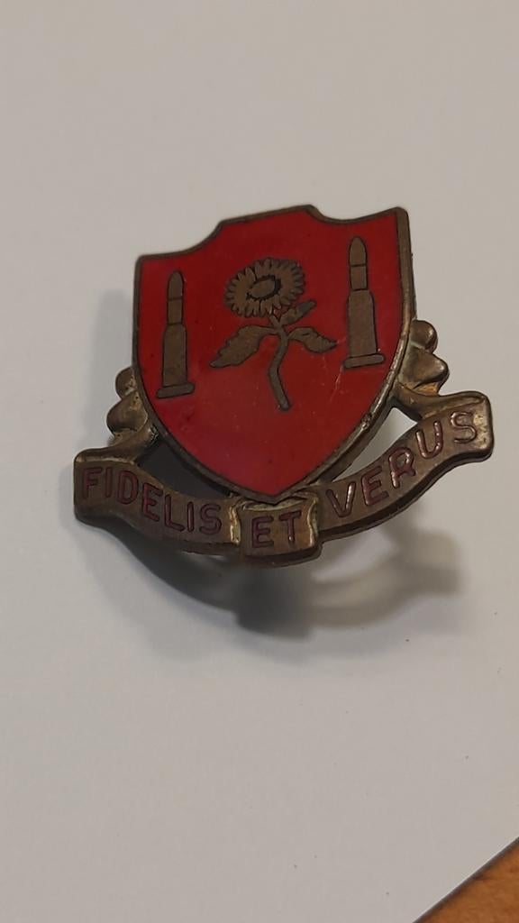 Militair embleem 'Fidelis et Verus', Verzamelen, Militaria | Algemeen, Landmacht, Embleem of Badge, Verzenden