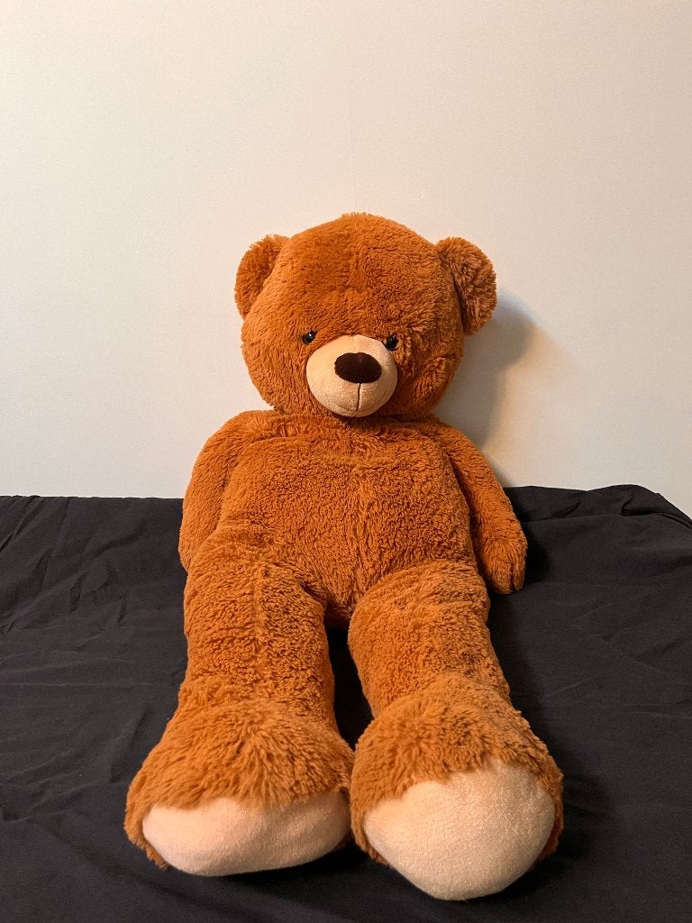 Grote bruine teddybeer XXL, Ophalen, Gebruikt, Beer, Bruin
