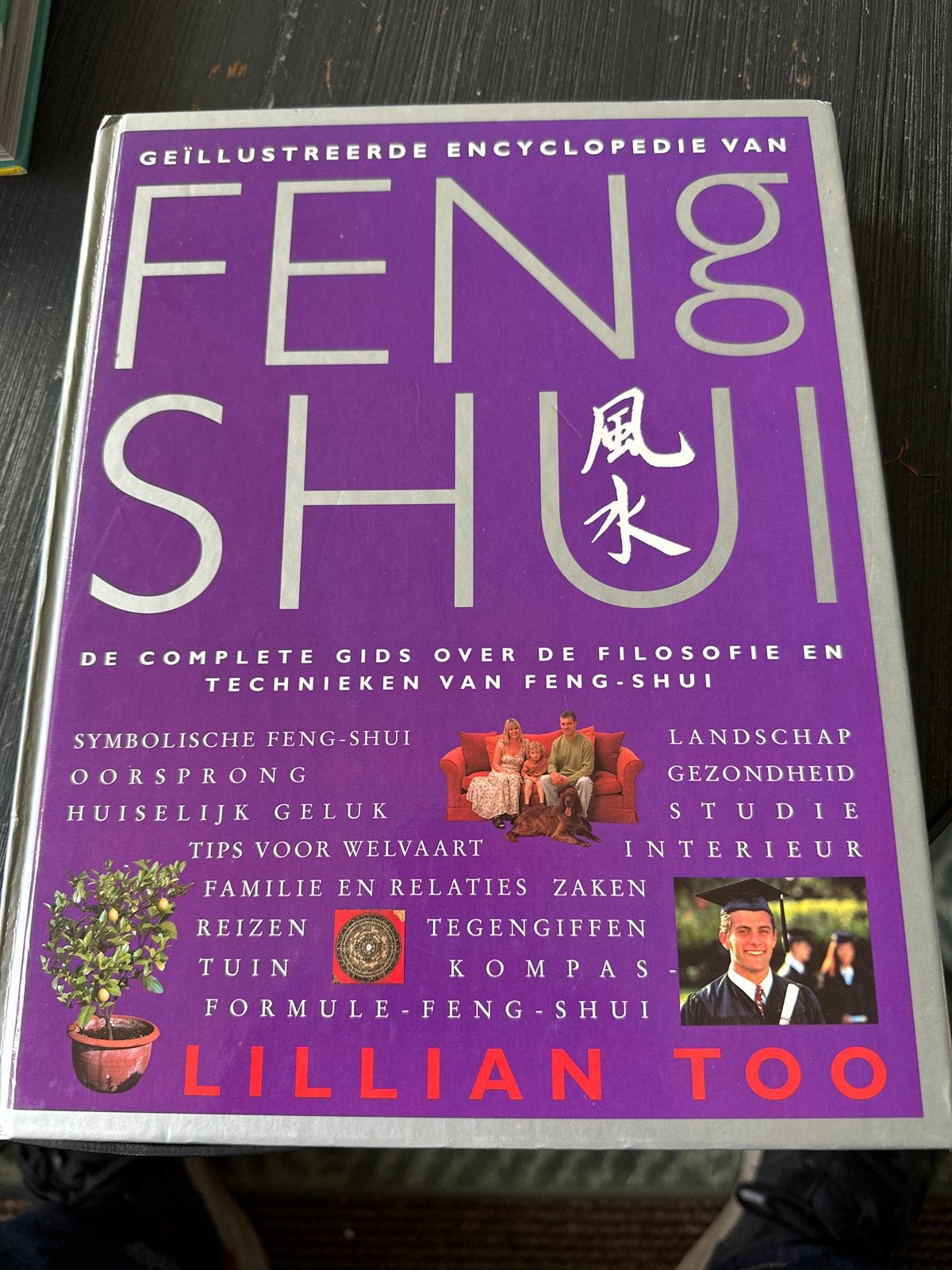Geïllustreerde Encyclopedie van Feng Shui - Lillian Too, Boeken, Ophalen of Verzenden, Zo goed als nieuw, Spiritualiteit algemeen