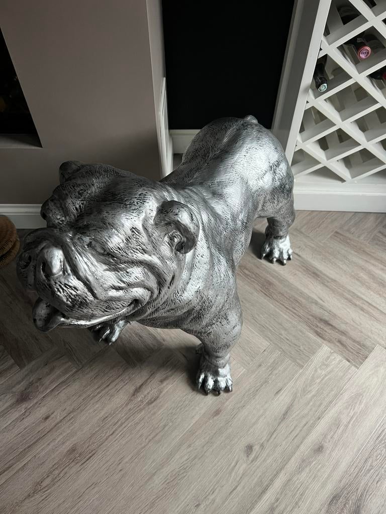 Buldog zilverkleurig, Ophalen, Nieuw