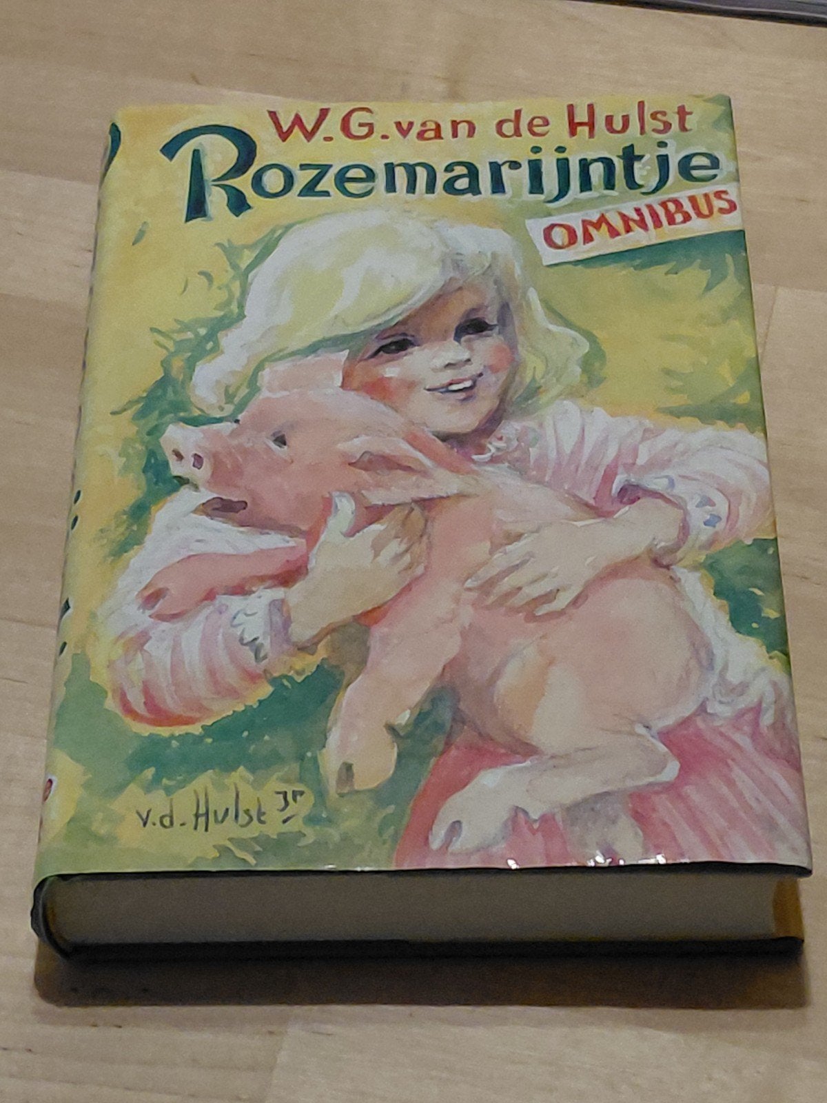 Rozemarijntje Omnibus W.G. van de Hulst 5 verhalen, Ophalen of Verzenden, Gelezen