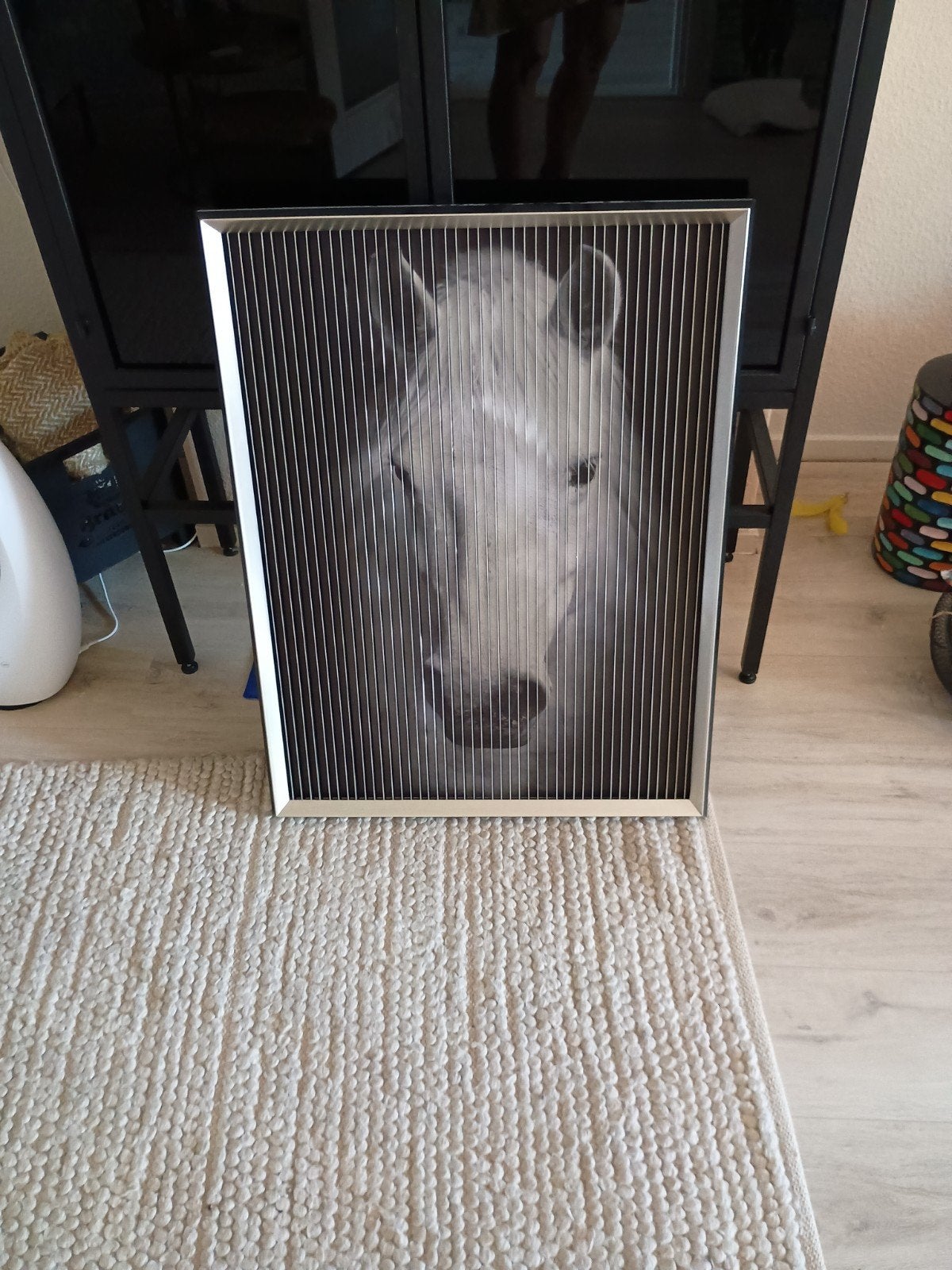 3D Flip Art Paard - 3-fasen lenticular print, Ophalen