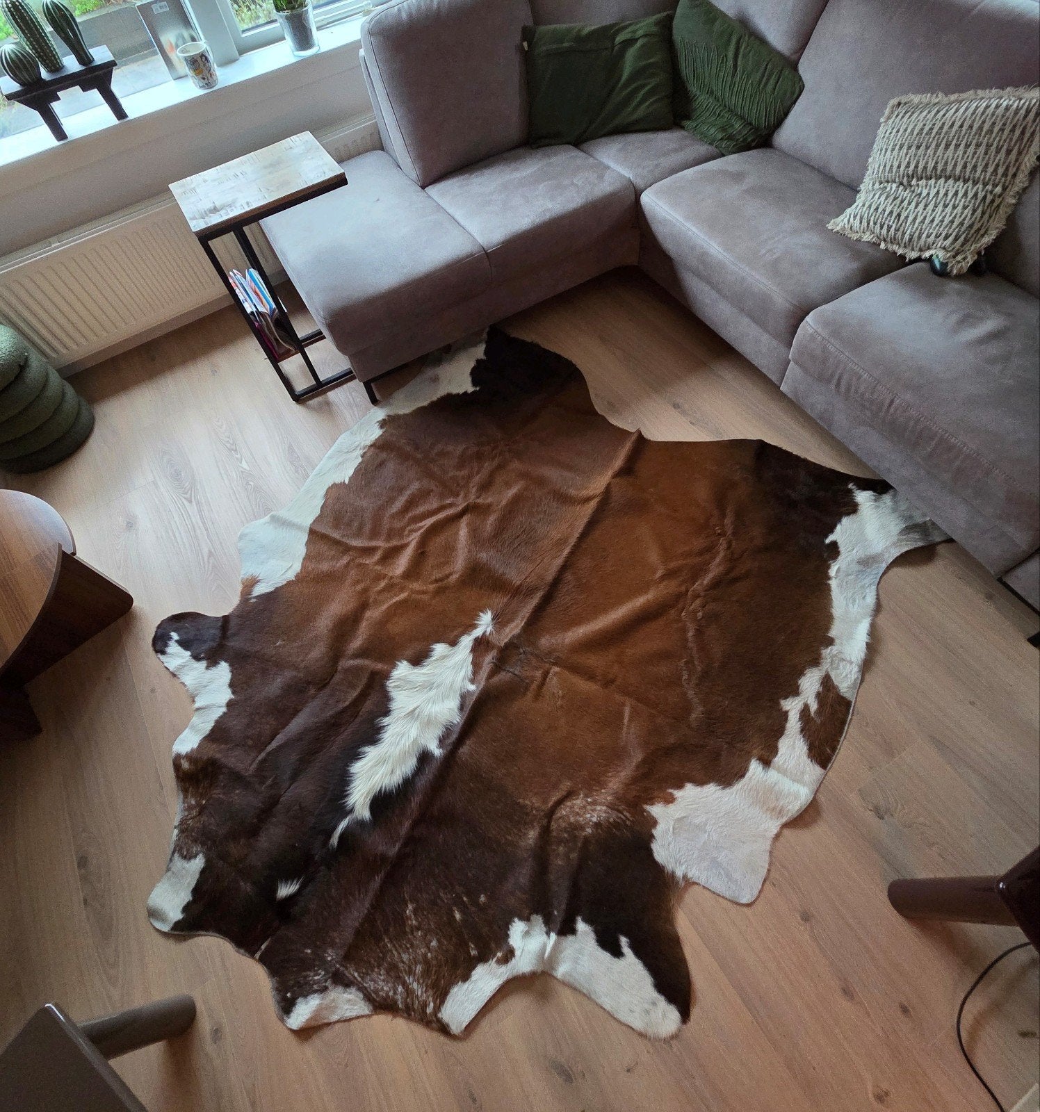 XL koeienhuid, Ophalen, Gebruikt, 150 tot 200 cm, 200 cm of meer