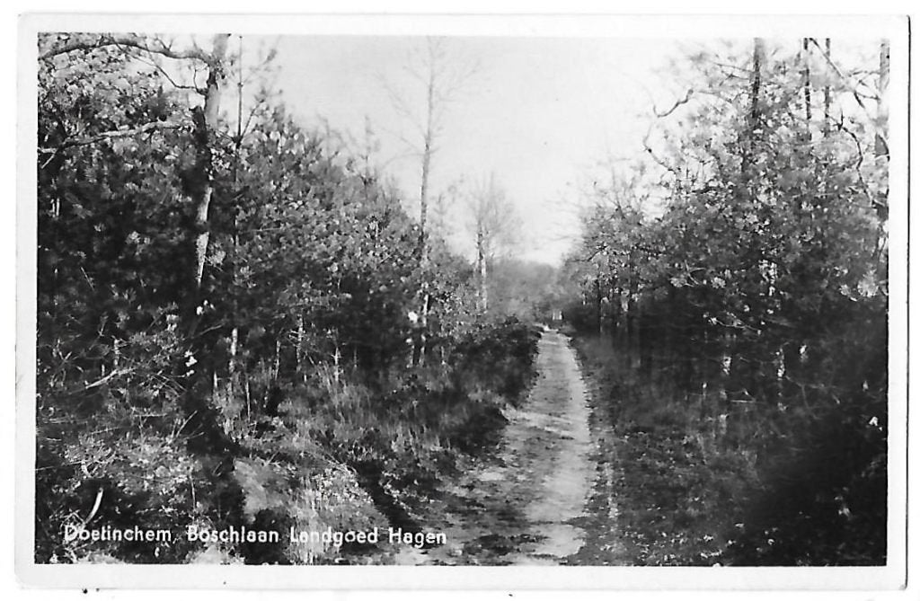 Doetinchem Landgoed Hagen Oude Gelopen Ansichtkaart (B626, Ophalen of Verzenden, 1940 tot 1960, Gelopen, Gelderland