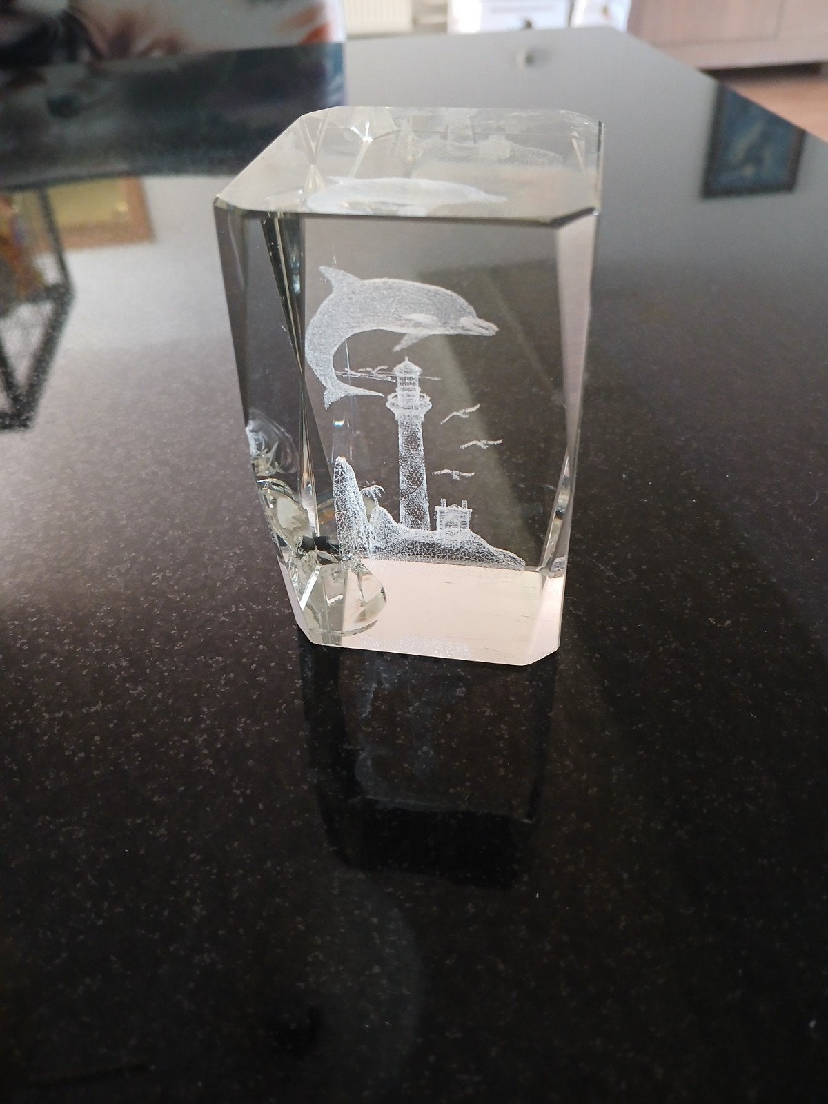 Dolfijn in glas ophalen, Ophalen of Verzenden, Zo goed als nieuw