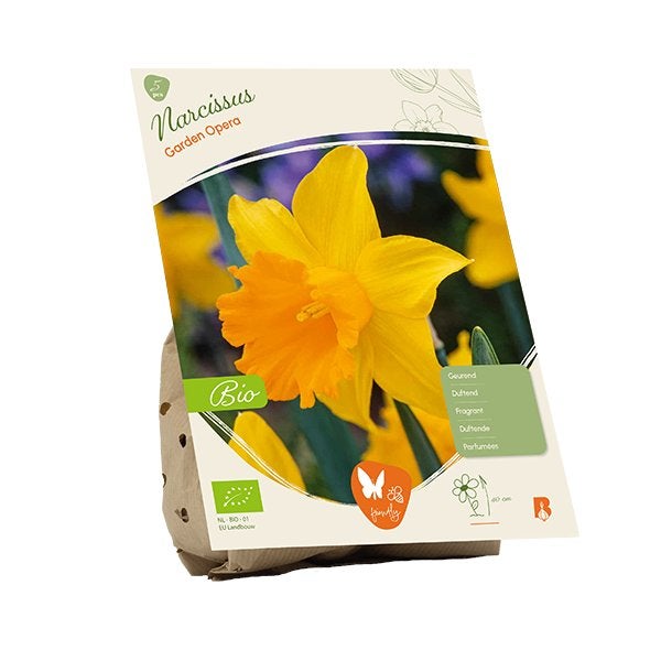 Narcis (Narcissus ‘Garden Opera’) BIOLOGISCH, Ophalen of Verzenden, Najaar, Volle zon, Bloembol